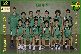 Mini A