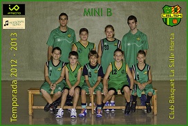Mini B