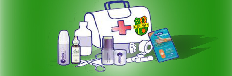 Imagen de seccin