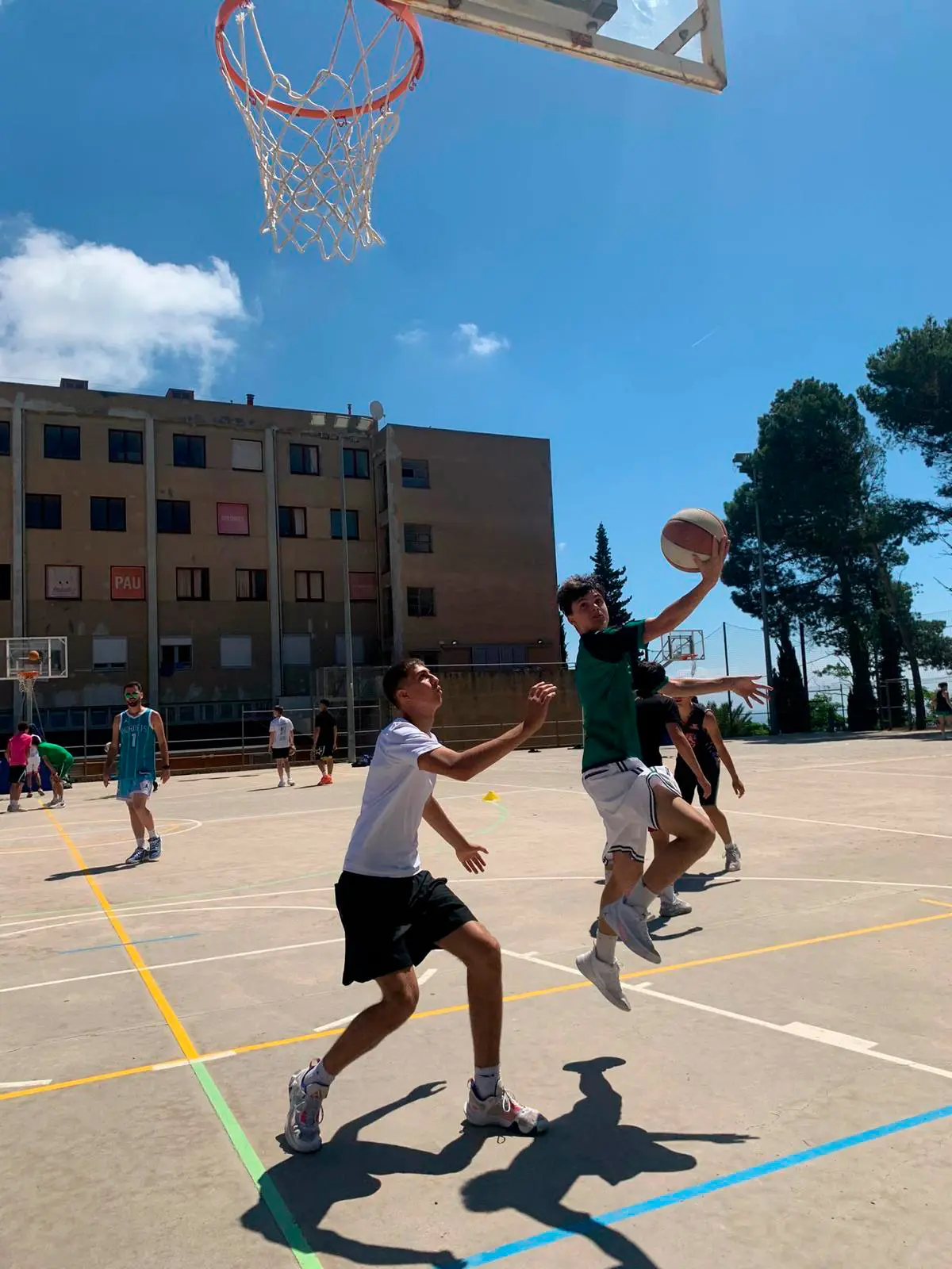 Campus_basquet_3